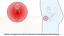 WAPSPOT.MOBI Female Orgasm How It Works What Happens In The Body